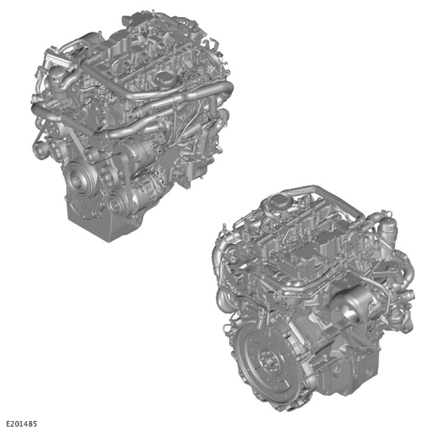 G11306739