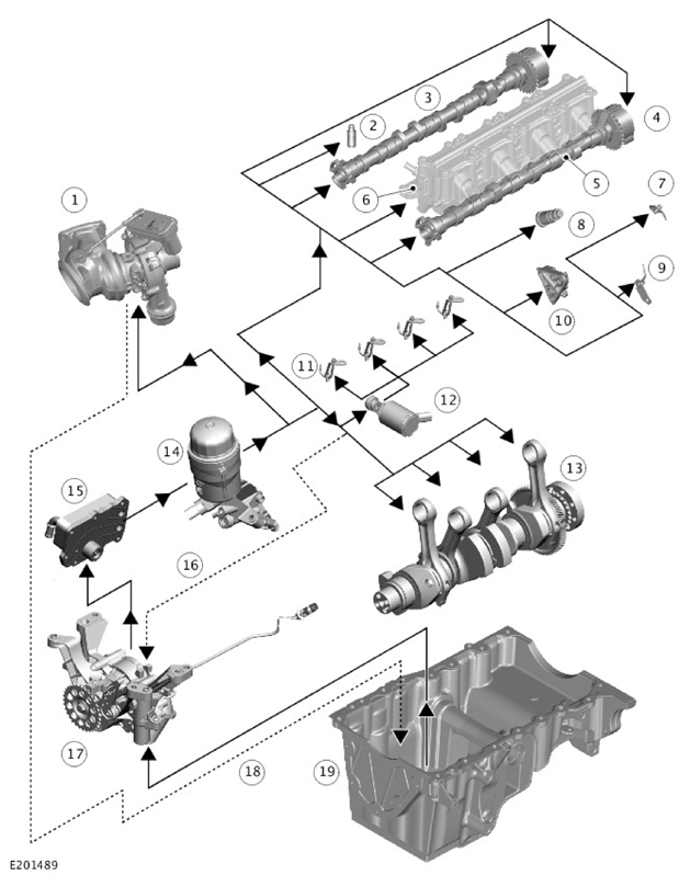 G11306764