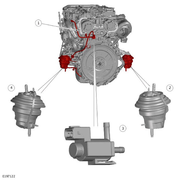 G11306770