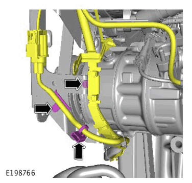 G11306801