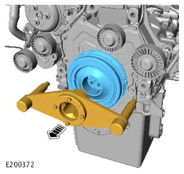 G11306808
