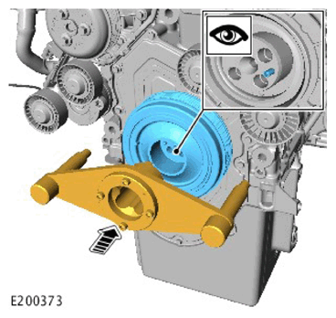 G11306809