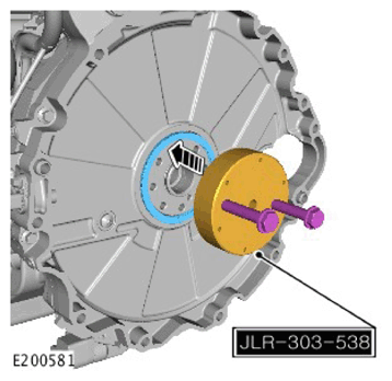 G11306819