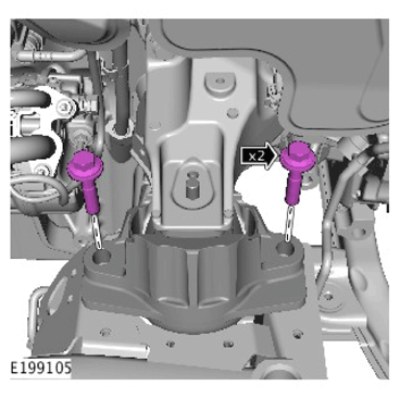 G11306821