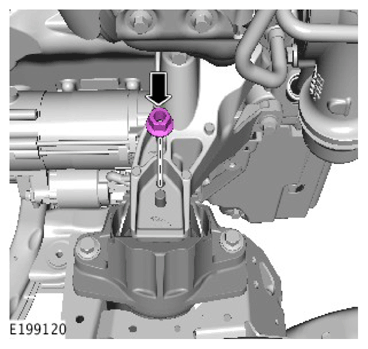 G11306825