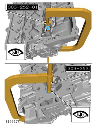 G11306855