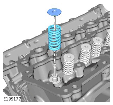 G11306857