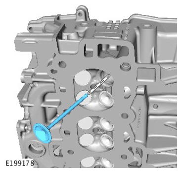 G11306858
