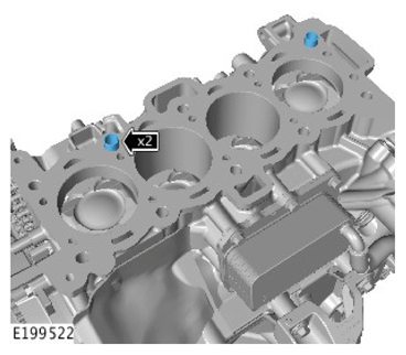 G11306905