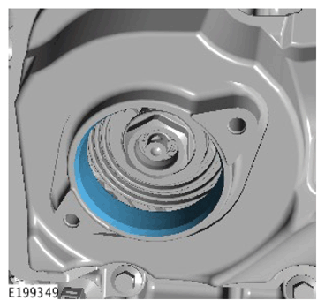 G11306961
