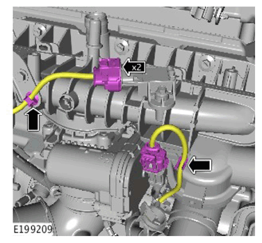 G11306976