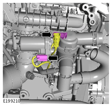 G11306977