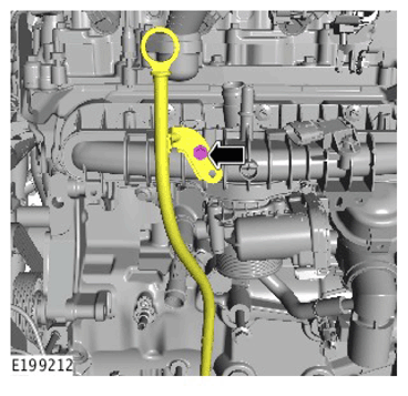 G11306979