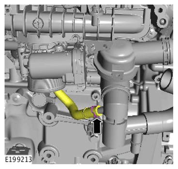 G11306980