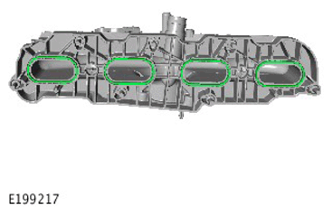 G11306982