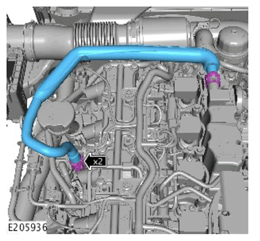 G11307036