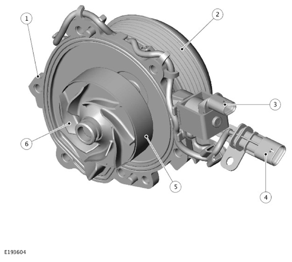 G11307080