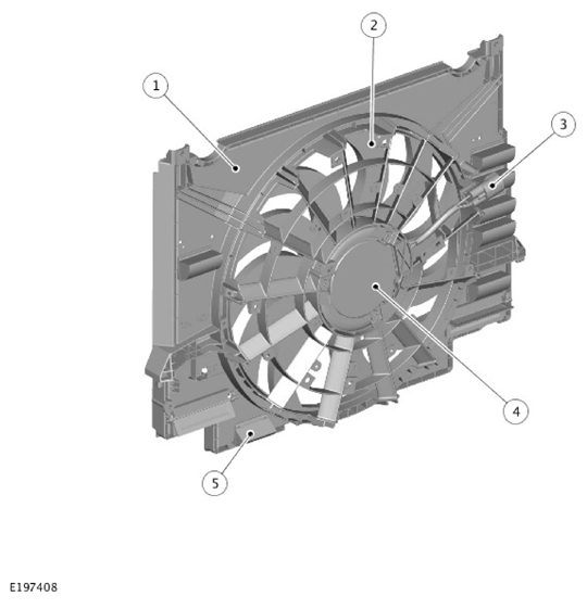 G11307082