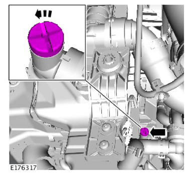 G11307094