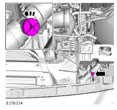 G11307095