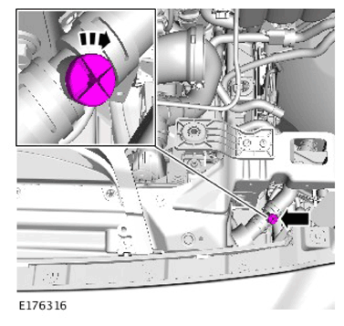 G11307097