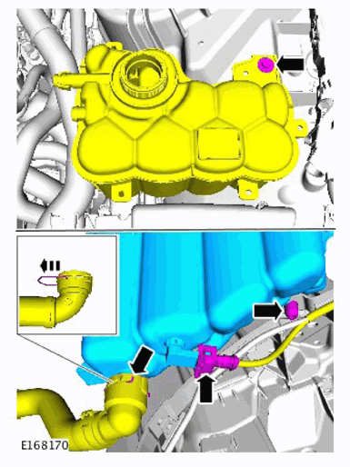 G11307138