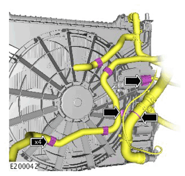 G11307366