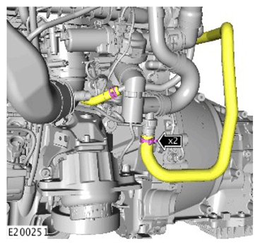 G11307381