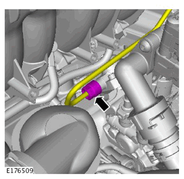 G11307444