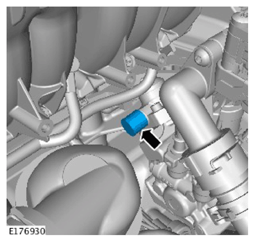 G11307491