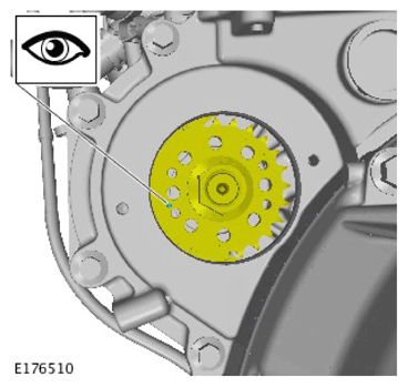 G11307494