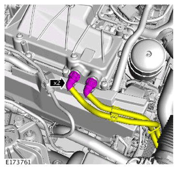G11307646
