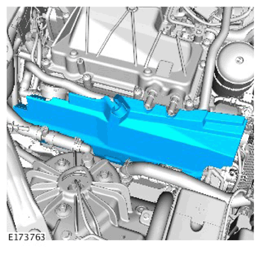 G11307648