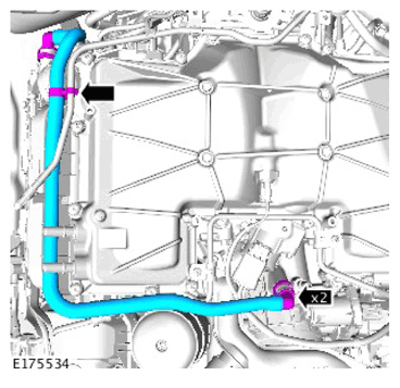 G11307649