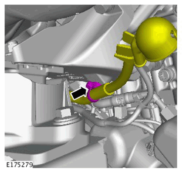 G11307699
