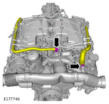G11307855