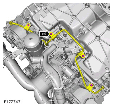 G11307856