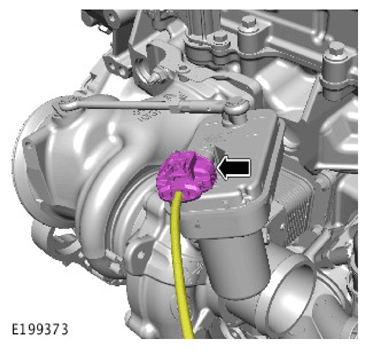 G11307880