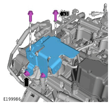 G11307918