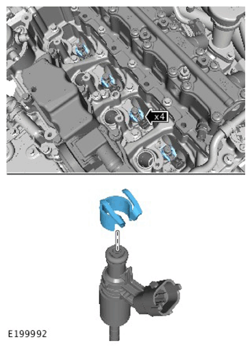 G11307924