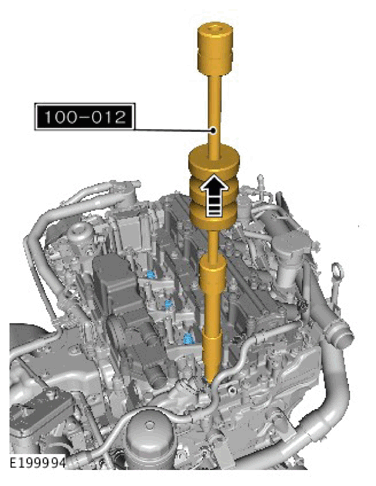 G11307926
