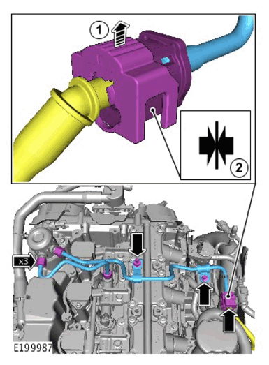 G11307948