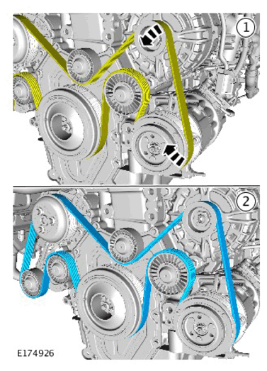 G11307982