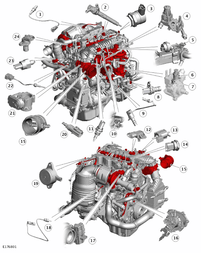 G11308363