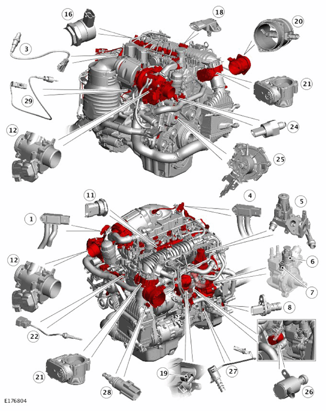 G11308366