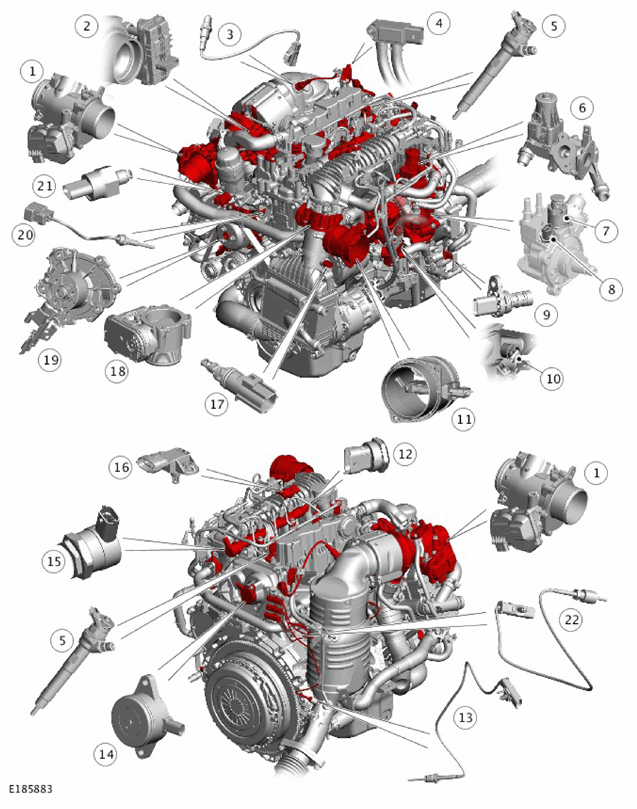G11308367