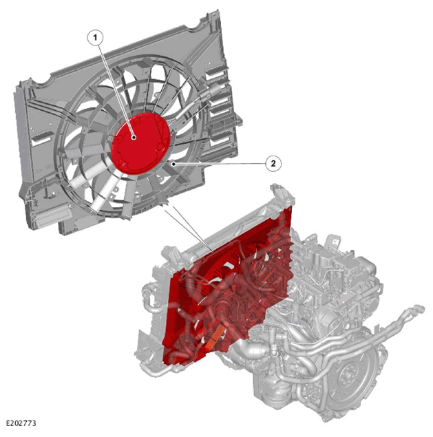 G11308565