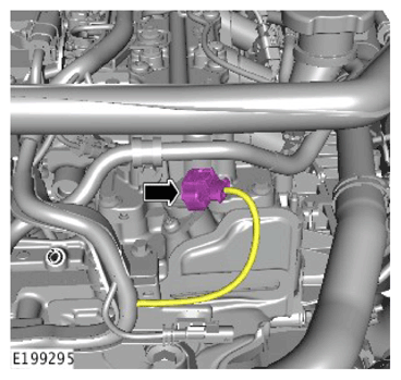 G11308586
