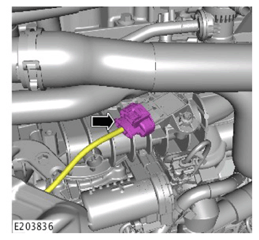 G11308590