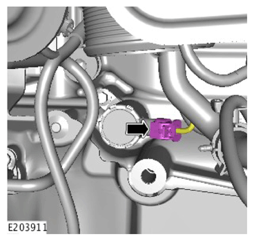 G11308605